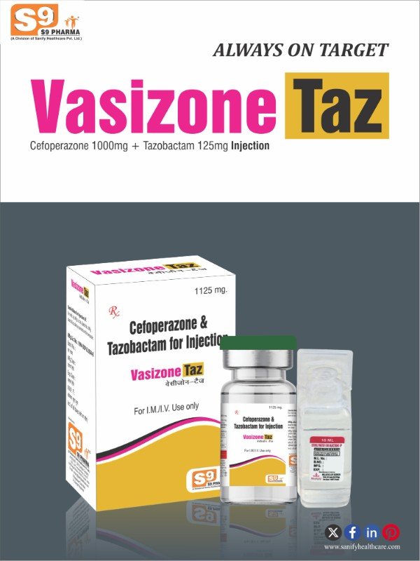 VASIZONE-TAZ